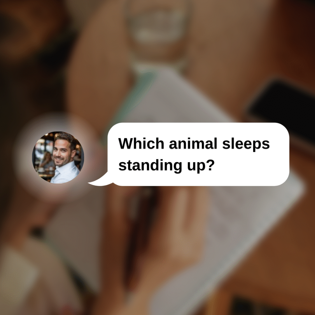Which animal sleeps standing up? Trivia Questions